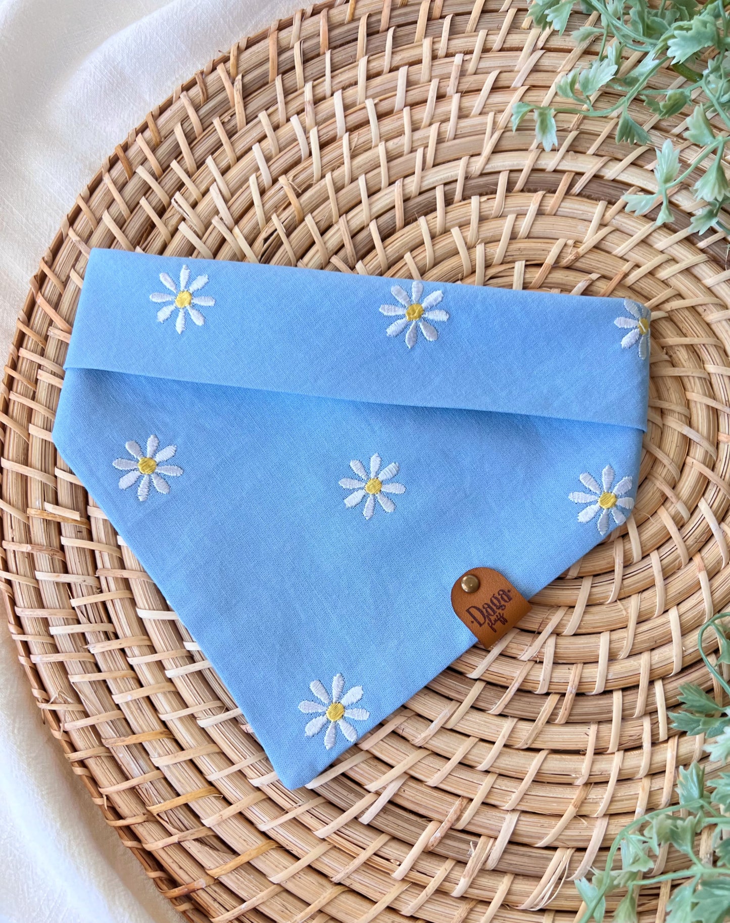 Daisy Blue